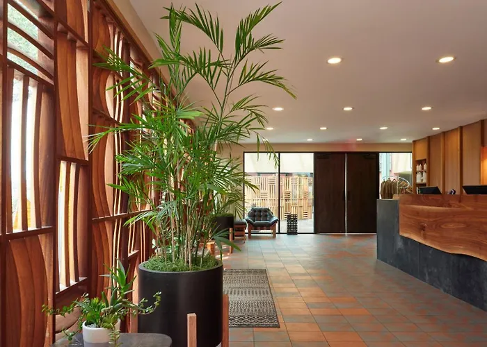 Hotel The Wilde And 4*
